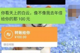催收正常债务怎么办理:全面指南与案例分析 催收正常债务怎么办理:全面指南与案例分析