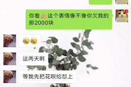 讨债者破坏债务人：探讨债权债务关系中的法律边界
