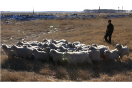 分期乐逾期多久会给催收？揭秘逾期催收规则