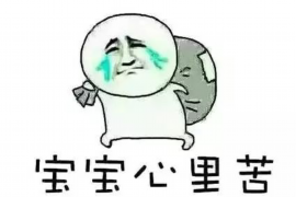 专业讨债人有什么用？揭秘债务追收的专业优势