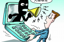 催收要我变卖资产还款：如何应对合法合规