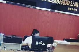 讨债不回的遗嘱：揭秘遗嘱执行中的法律困境