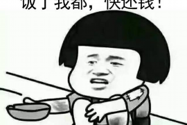 讨债公司的报道:揭秘债务催收行业的现状与挑战 讨债公司的报道:揭秘债务催收行业的现状与挑战